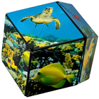 Головоломка Shashibo Shape Shifting Box Undersea (0860002983950) - зображення 7
