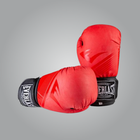 Боксерские перчатки Everlast EV3597