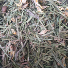 Льонок звичайний трава сушена 100 г - зображення 1