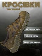 Кросівки тактичні Undolini olive ВТ0966 42 - зображення 3
