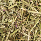Короставник польовий трава сушена 100 г - зображення 1