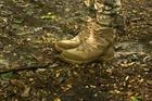 Тактичні черевики Evo Men 919 Fury Coyote 45 - зображення 3