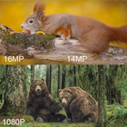 Фотоловушка Suntek HC-804A охотничья камера без модема видео Full HD 1080P с записью звука обзор 120° 16MP IP66 - изображение 7