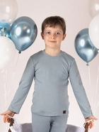 Дитяча футболка з довгими рукавами для хлопчика Nicol 205140 80 см Сіра (5905601016069) - зображення 4