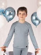 Dziecięca koszulka z długim rękawem dla chłopca Nicol 205140 98 cm Szara (5905601016090) - obraz 4