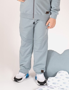 Dziecięce spodnie dresowe chłopięce Nicol 205275 110 cm Szare (5905601017004) - obraz 1