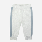 Дитячі спортивні штани для хлопчика Nicol 205277 104 см Сірі (5905601017271) - зображення 1