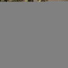 Водонепроницаемый Рюкзак Intruder с системой Molle / Крепкий Ранец зеленый камуфляж 75х55х40 см - изображение 3