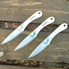 Комплект метальних ножів Осетр 250мм 3 шт. - зображення 1