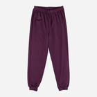 Підліткова піжама для дівчинки Tup Tup P213DZ-2100 152 см Фіолетова (5901845291699) - зображення 3