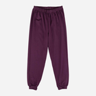 Підліткова піжама для дівчинки Tup Tup P213DZ-2100 158 см Фіолетова (5901845291705) - зображення 3