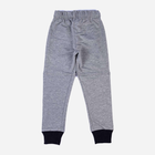 Дитячі спортивні штани для хлопчика Tup Tup PIK4071-8010 122 см Сірі (5907744052256) - зображення 2