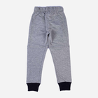 Дитячі спортивні штани для хлопчика Tup Tup PIK4071-8010 134 см Сірі (5907744052270) - зображення 2