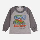 Дитяча піжама для хлопчика Tup Tup 101303CH-3210 92 см Сіра (5907744489816) - зображення 2