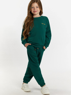 Дитячий спортивний костюм (світшот + штани) для дівчинки Tup Tup 101401-5000 122 см Зелений (5907744490669) - зображення 1