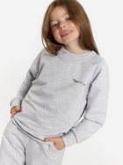 Дитячий спортивний костюм (світшот + штани) для дівчинки Tup Tup 101404-8110 110 см Сірий (5907744490942) - зображення 3