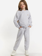 Дитячий спортивний костюм (світшот + штани) для дівчинки Tup Tup 101404-8110 122 см Сірий (5907744490966) - зображення 1