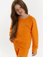 Дитячий спортивний костюм (світшот + штани) для дівчинки Tup Tup 101408-4610 104 см Оранжевий (5907744491338) - зображення 3