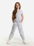 Koszulka młodzieżowa dla dziewczynki Tup Tup 101500-8110 140 cm Szara (5907744500122) - obraz 1