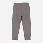 Дитячі теплі спортивні штани для хлопчика Tup Tup PIK5031-8110 122 см Сірі (5907744517076) - зображення 2