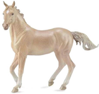 Фігурка Collecta Akhal-Teke Mare Perlino XL 16 см (4892900886237) - зображення 1