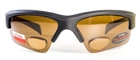 Бифокальные поляризационные очки BluWater Bifocal-2 (+3.0) Polarized (brown) коричневые - изображение 2