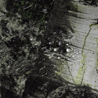 Шарф-труба StormWall Sequoia Помаранчева (7363) - изображение 6