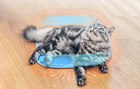 Mata dla kota chłodząca PETKIT Cooling Cat Pad (6931580106100) - obraz 4