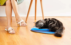 Mata dla kota chłodząca PETKIT Cooling Cat Pad (6931580106100) - obraz 5