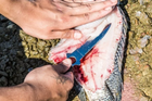 Нож Туристический для Охоты Рыбалки Нескладной Универсальный Haller (Sarawak) SH102 (602307209) - изображение 4