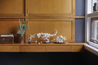 Конструктор LEGO Ideas Кістки динозавра 910 деталей (21320) (5702016615586) - зображення 4