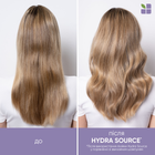 Profesjonalny balsam Biolage Hydrasource Blow Dry bez spłukiwania z ochroną termiczną 150 ml (3474637173678) - obraz 4