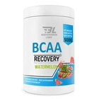 Аминокислота BodyPerson Labs BCAA Recovery 500 g