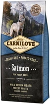 Сухой корм для взрослых собак Carnilove Salmon Adult