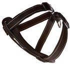 Шлея для собак Ezydog Harness Neoprene Black S 37-60 см (5708214102040) - зображення 1