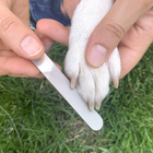 Zestaw do pielęgnacji psów Kikkerland Dog Spa Grzebień + Masażer + Gąbka + Pilnik do paznokci (0612615111622) - obraz 8