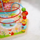 Interaktywny Drewniany Sześciokąt Tooky Toy Montessori Pudełko (6972633374398) - obraz 6
