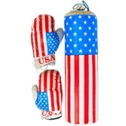 Боксерский набор Danko Toys "Америка" (L-USA)