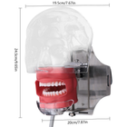 Фантом голови стоматологічний (кріплення на підголовник установки)+28зубів - изображение 6