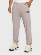 Спортивні штани чоловічі Fila FAM0160-80028 L Світло-сірі (4064556358622) - зображення 1