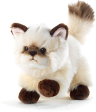 Maskotka Plush & Company Thaytoo Gatto Color Point (8029956157059) - obraz 1