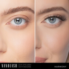 Штучні вії Nanolash Eyelash у кластерах Harmony 36 шт (5905669547857) - зображення 2