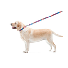 Obroża dla psa nylonowa WAUDOG Nylon z paszportem QR wzór "Summer" plastik fastex szer. 20 mm dł. 28-40 cm (4823089312279) - obraz 7
