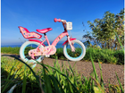 Rower dziecięcy Volare Princess 12 Różowy (8715347212093) - obraz 7