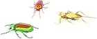 Набір мікророботів Hexbug Real Bugs 3 шт (0778988506288) - зображення 5