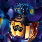 Woda perfumowana damska Guerlain Shalimar Millesime Iris 50 ml (3346470146723) - obraz 3