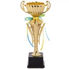 Кубок спортивный с ручками приз спортивный SP-Sport Heroe 8895B высота 31 см Gold