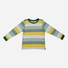 Дитяча футболка з довгим рукавом для хлопчика Cool Club CCB2310490 122 см Різнокольорова (5903272908911) - зображення 1