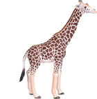 Фігурка Mojo Animal Planet Giraffe Male XL 17 см (5031923810082) - зображення 1