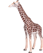 Фігурка Mojo Animal Planet Giraffe Male XL 17 см (5031923810082) - зображення 3
